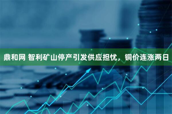 鼎和网 智利矿山停产引发供应担忧，铜价连涨两日