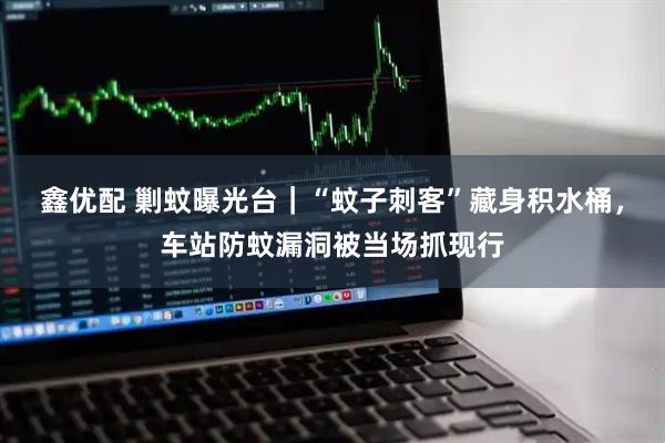 鑫优配 剿蚊曝光台｜“蚊子刺客”藏身积水桶，车站防蚊漏洞被当场抓现行